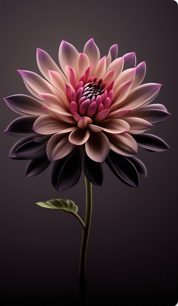 register form banner