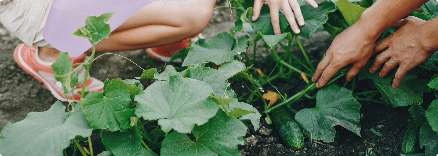 teenplant banner